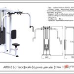 Баттерфляй-задние дельты AR045