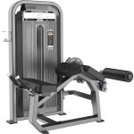 E-5001 Сгибание ног лежа (Prone Leg Cur)
