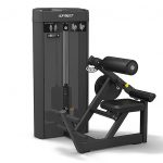 Разгибание спины SPIRIT SP-4310